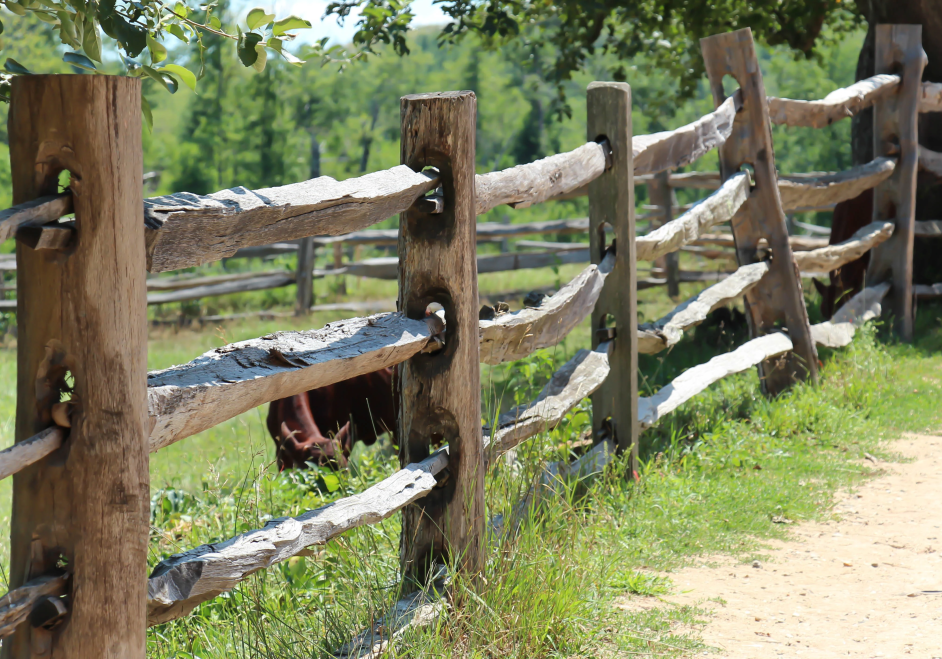 Cedar Split Rail
