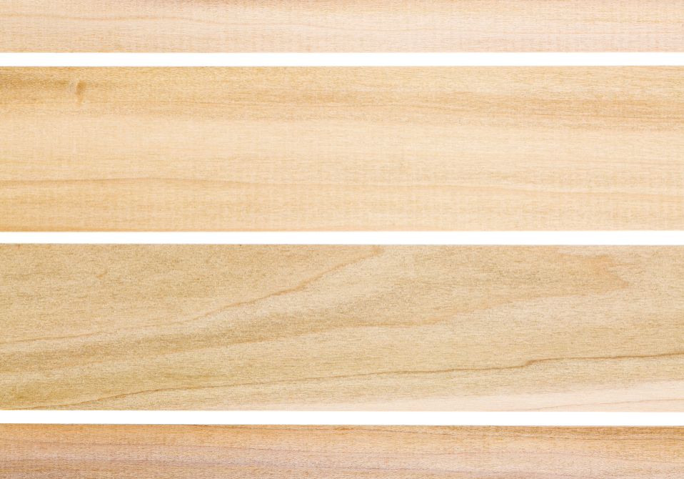 Poplar